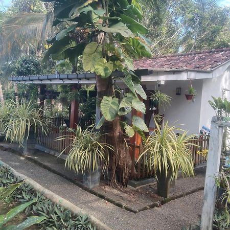 Lovers Green Villa Matara Kültér fotó