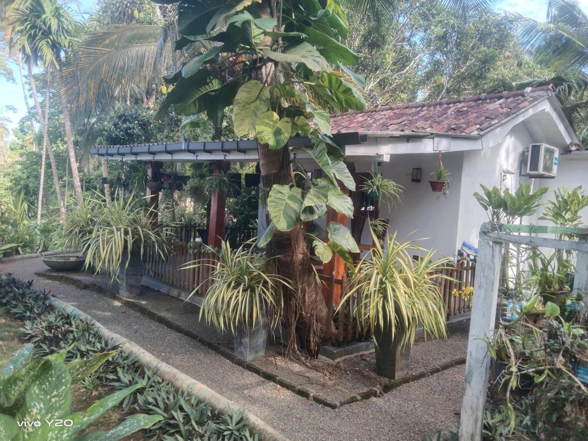 Lovers Green Villa Matara Kültér fotó